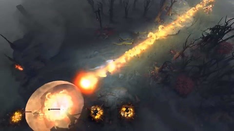 球员在国内 球员在国内