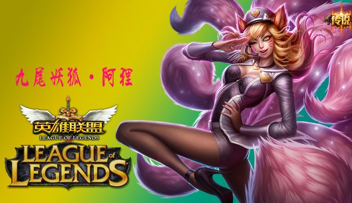 整教练团队
